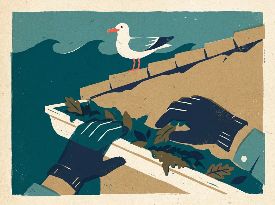 Illustration of gloved hands clearing leaves and moss from a white gutter, a seagull watching from the ridge